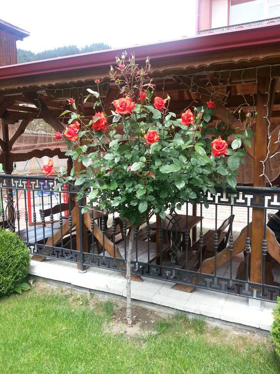 Family Hotel Yola تشبيلار المظهر الخارجي الصورة